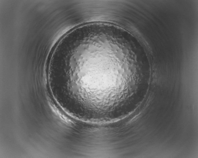 X0000078020892200611031453