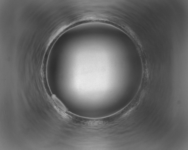 X0000078020893200611031453