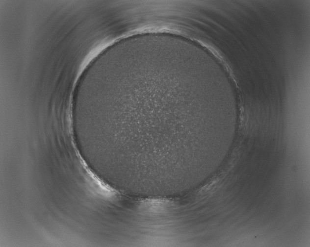 X0000078020894200611031453