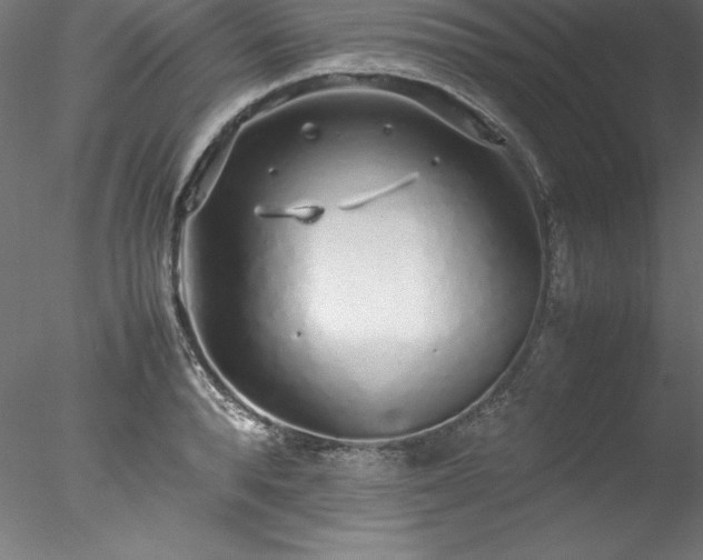 X0000078020896200611031453