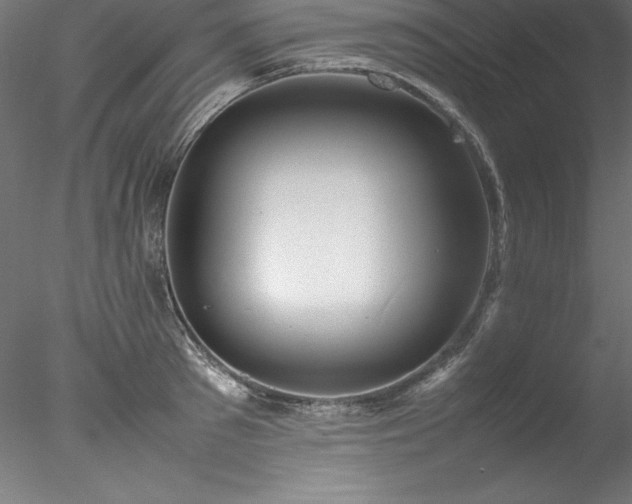 X0000078020897200611031453