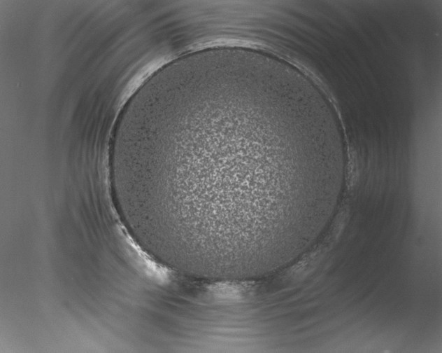 X0000078020898200611031453