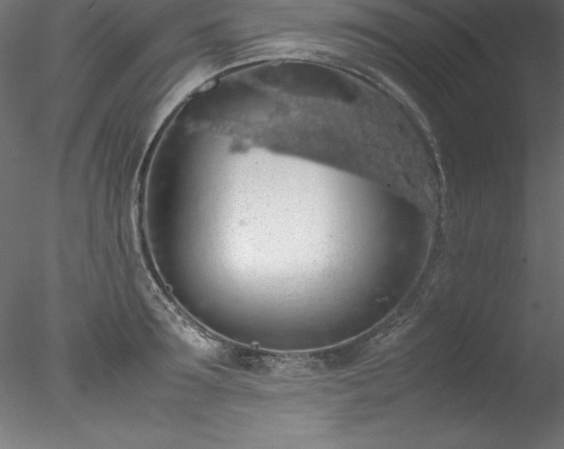 X0000078020899200611031453