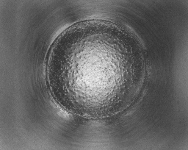 X0000078020900200611031453