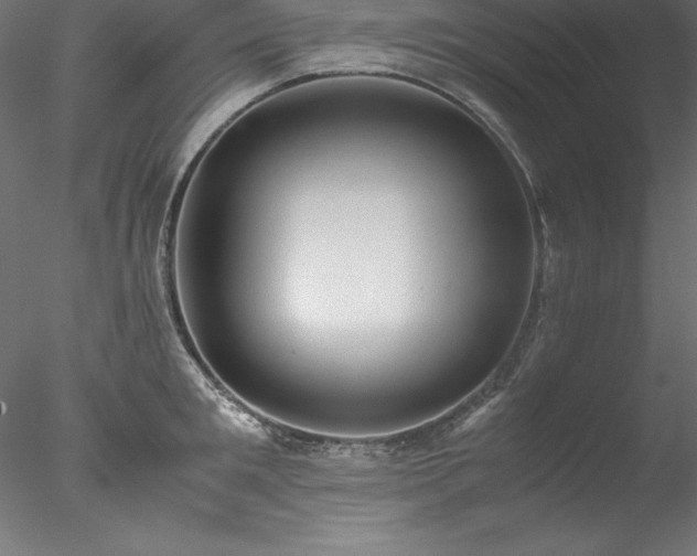 X0000078020901200611031453