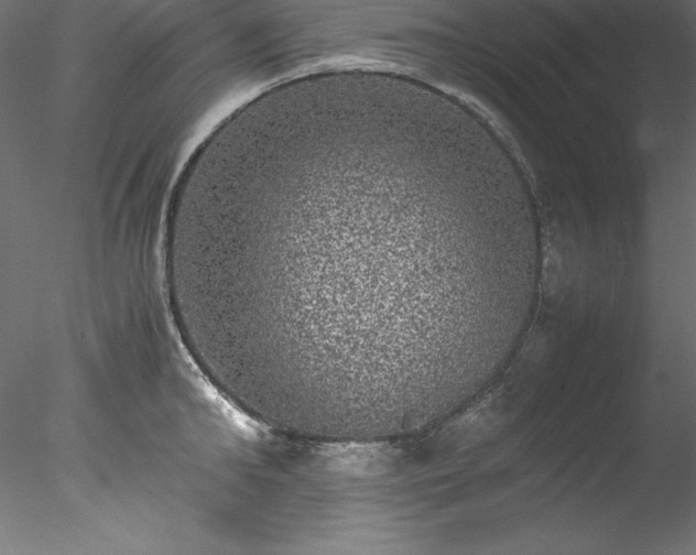 X0000078020902200611031453