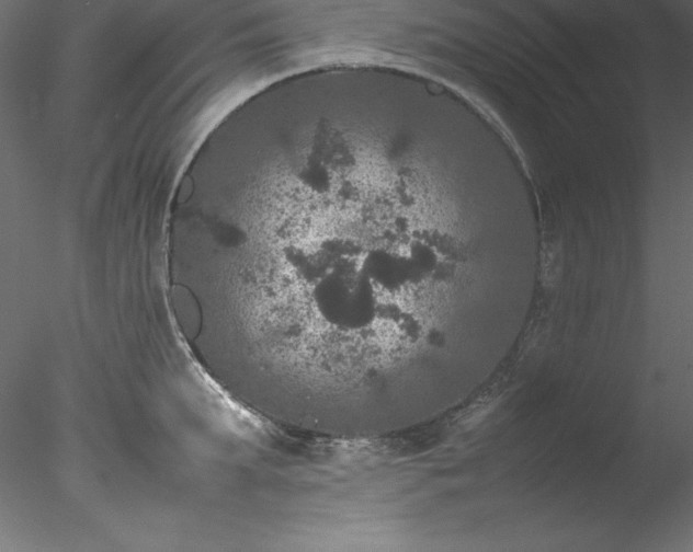 X0000078020903200611031453