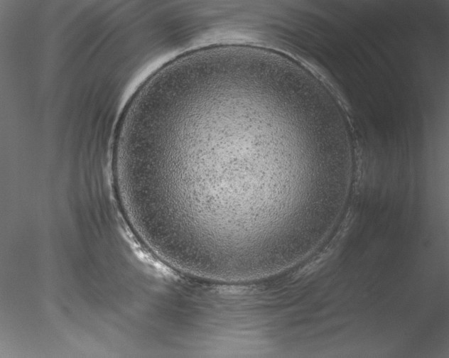 X0000078020904200611031453