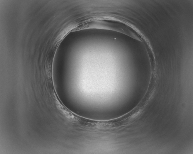 X0000078020905200611031453