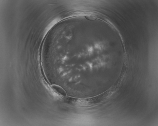 X0000078020907200611031453