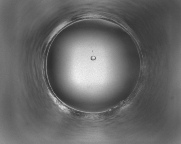 X0000078020909200611031453