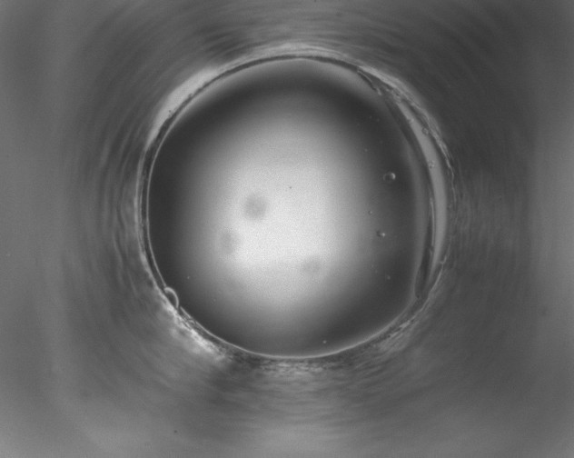 X0000078020910200611031453