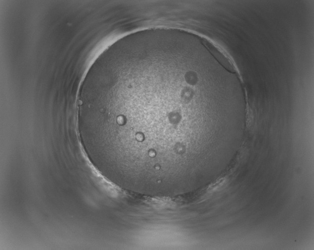 X0000078020911200611031453