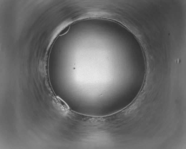 X0000078020912200611031453