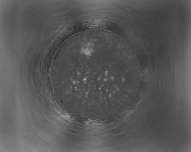 X0000078020913200611031452