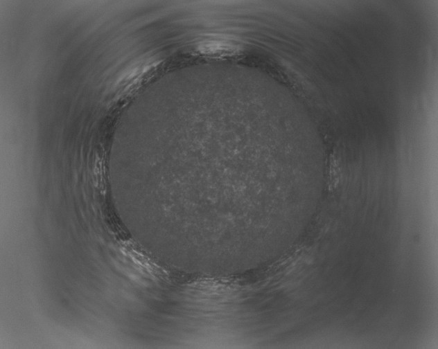 X0000078020917200611031452