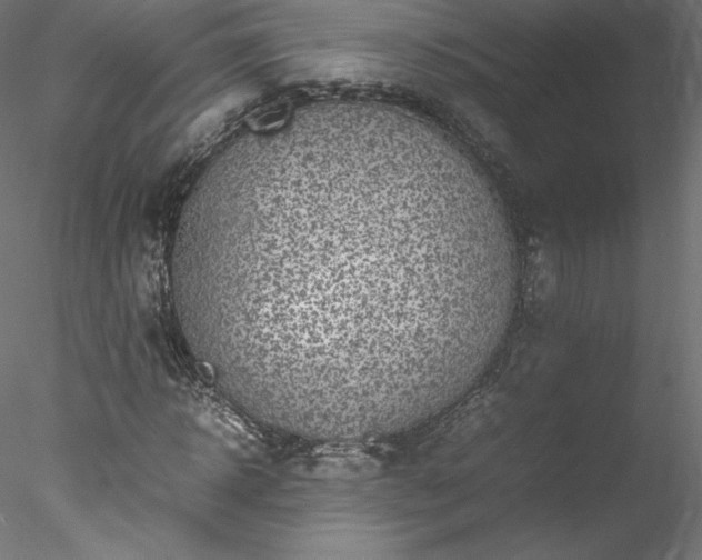 X0000078020918200611031452