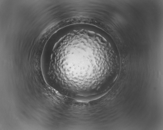 X0000078020919200611031452