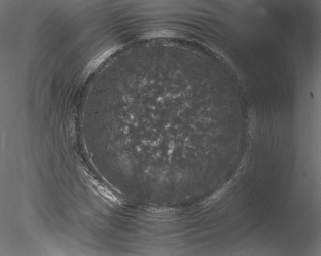 X0000078020921200611031452