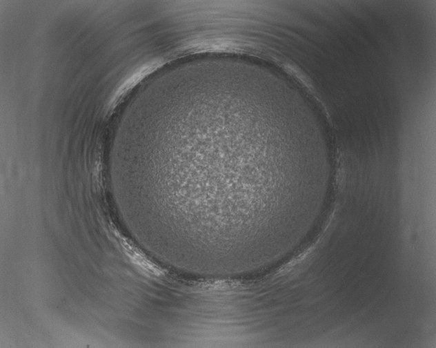 X0000078020922200611031452