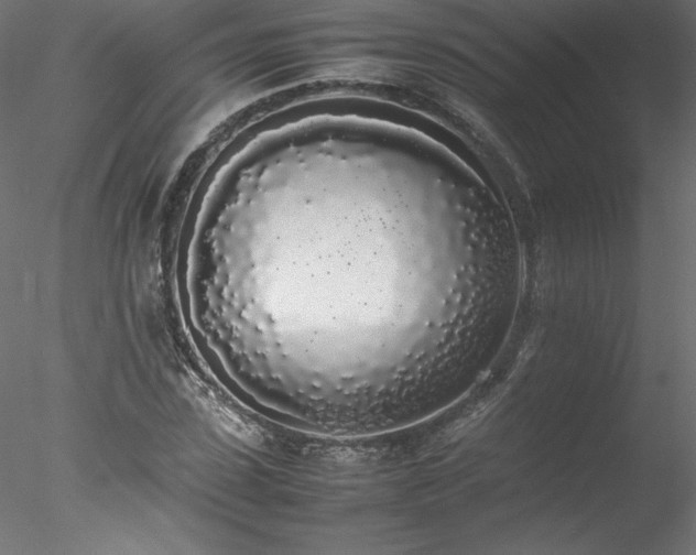 X0000078020923200611031452