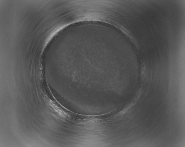 X0000078020926200611031452