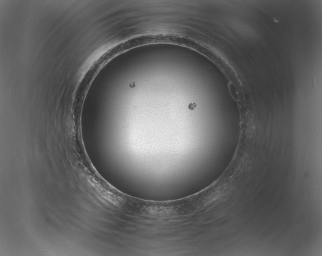 X0000078020927200611031452