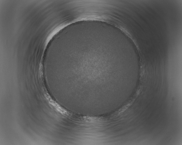 X0000078020928200611031452