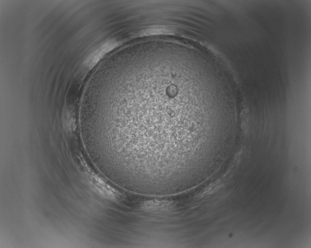 X0000078020929200611031452