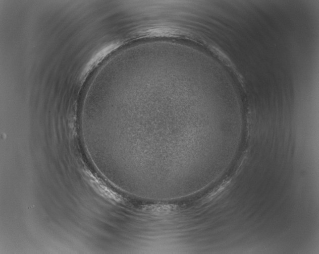 X0000078020930200611031452