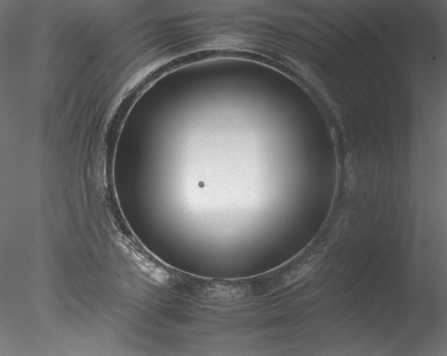 X0000078020931200611031452