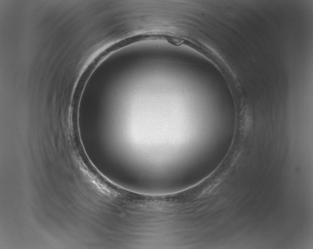 X0000078020932200611031452