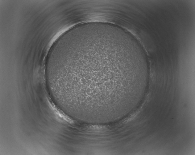 X0000078020933200611031452