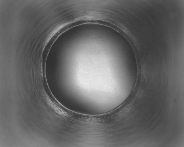 X0000078020934200611031452