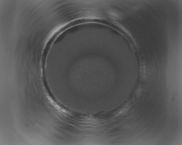 X0000078020935200611031452