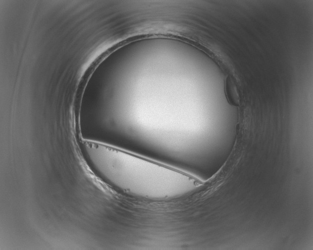 X0000078020936200611031452