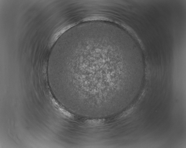 X0000078020937200611031452