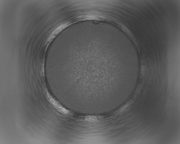 X0000078020938200611031452