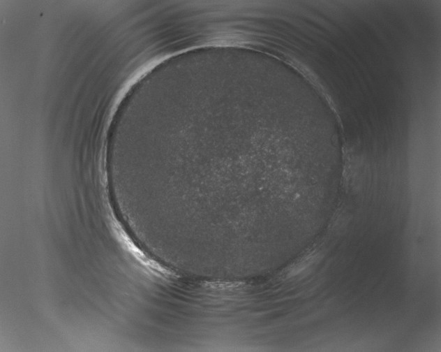 X0000078020939200611031452