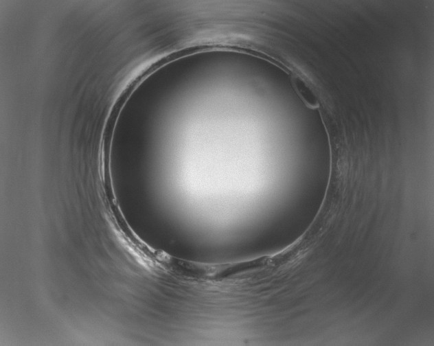 X0000078020940200611031452