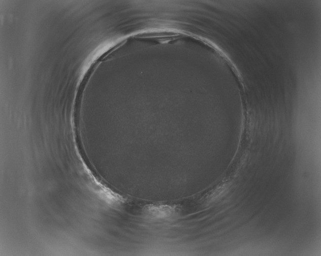 X0000078020943200611031452