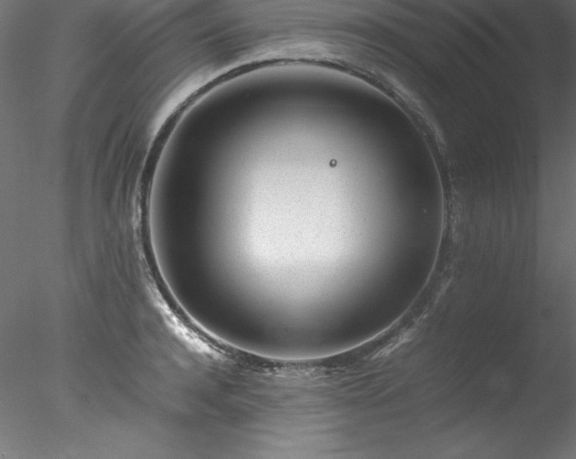 X0000078020944200611031452