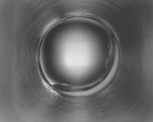 X0000078020946200611031452