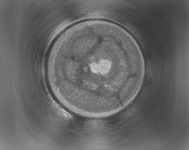 X0000078020950200611031452