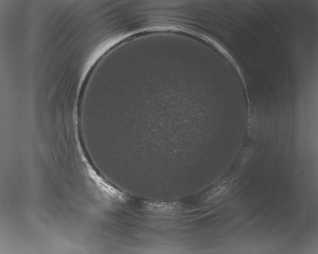 X0000078020951200611031452