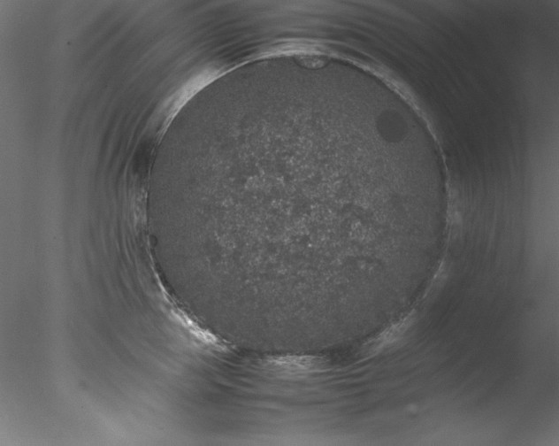 X0000078020953200611031452