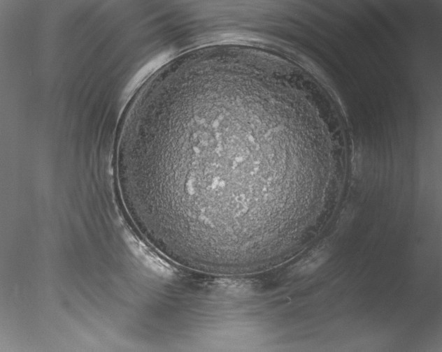 X0000078020954200611031453