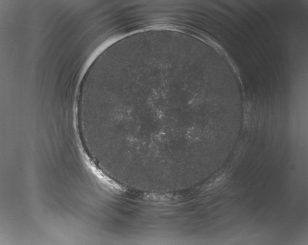 X0000078020955200611031453