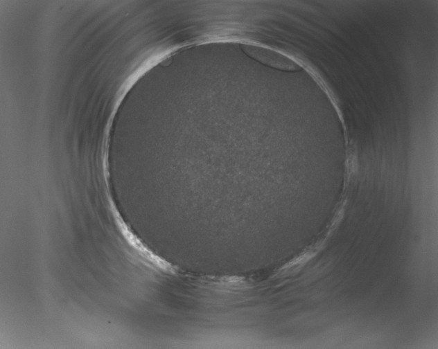 X0000078020957200611031453