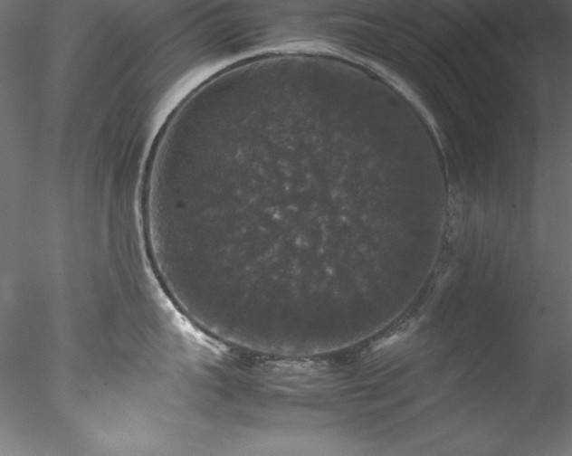 X0000078020959200611031453